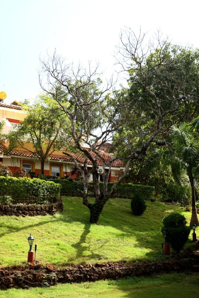 Nirvana Hermitage Anjuna Ngoại thất bức ảnh